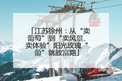 江苏徐州：从“卖葡萄”到“卖风景、卖体验”阳光玫瑰“葡”就致富路