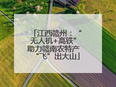 江西赣州：“无人机+高铁”助力赣南农特产“飞”出大山