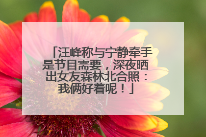 汪峰称与宁静牵手是节目需要，深夜晒出女友森林北合照：我俩好着呢！