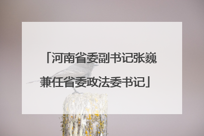 河南省委副书记张巍兼任省委政法委书记