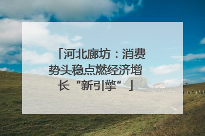 河北廊坊：消费势头稳点燃经济增长“新引擎”