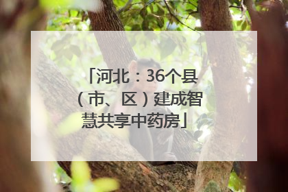 河北：36个县（市、区）建成智慧共享中药房