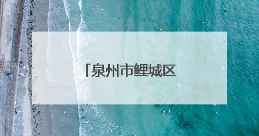 泉州市鲤城区电子信息产业链党委揭牌成立