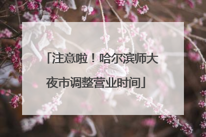 注意啦！哈尔滨师大夜市调整营业时间