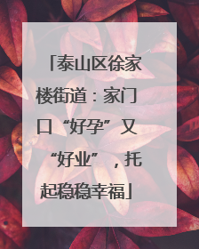 泰山区徐家楼街道：家门口“好孕”又“好业”，托起稳稳幸福