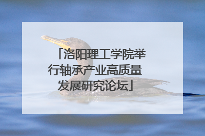 洛阳理工学院举行轴承产业高质量发展研究论坛