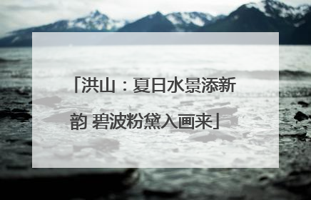 洪山：夏日水景添新韵 碧波粉黛入画来
