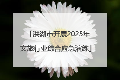 洪湖市开展2025年文旅行业综合应急演练