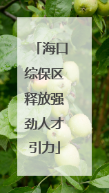 海口综保区释放强劲人才引力