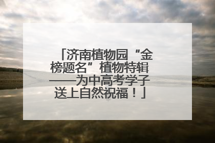 济南植物园“金榜题名”植物特辑——为中高考学子送上自然祝福！