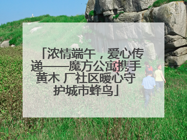 浓情端午，爱心传递——魔方公寓携手黄木 厂社区暖心守护城市蜂鸟