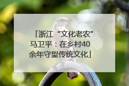 浙江“文化老农”马卫平：在乡村40余年守望传统文化