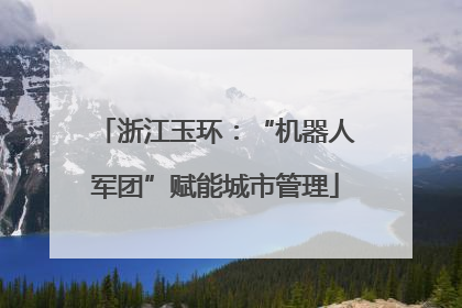 浙江玉环：“机器人军团”赋能城市管理