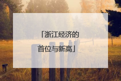 浙江经济的首位与新高