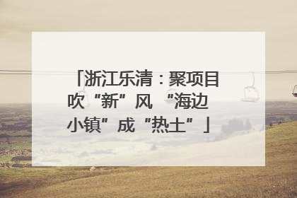 浙江乐清：聚项目吹“新”风 “海边小镇”成“热土”