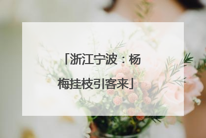 浙江宁波：杨梅挂枝引客来