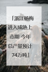 浙江杨梅进入成熟上市期 今年总产量预计74万吨