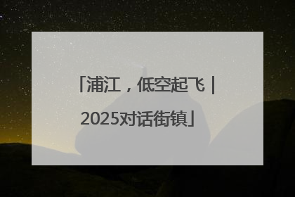 浦江，低空起飞｜2025对话街镇