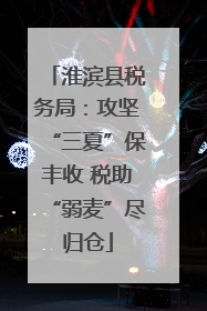 淮滨县税务局：攻坚“三夏”保丰收 税助“弱麦”尽归仓