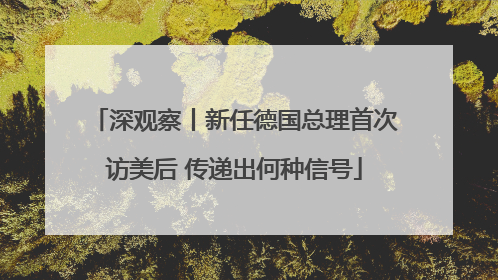 深观察丨新任德国总理首次访美后 传递出何种信号