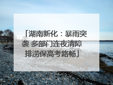 湖南新化：暴雨突袭 多部门连夜清障排涝保高考路畅