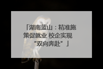 湖南蓝山：精准施策促就业 校企实现“双向奔赴”