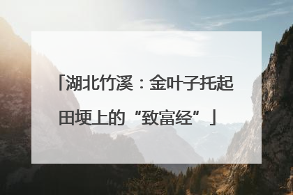 湖北竹溪：金叶子托起田埂上的“致富经”