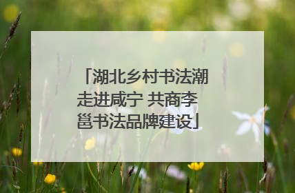 湖北乡村书法潮走进咸宁 共商李邕书法品牌建设
