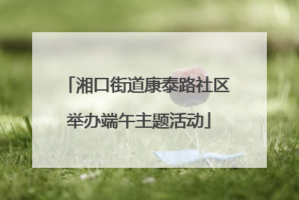 湘口街道康泰路社区举办端午主题活动