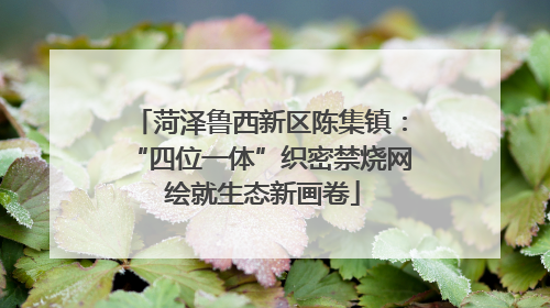 菏泽鲁西新区陈集镇：“四位一体”织密禁烧网 绘就生态新画卷
