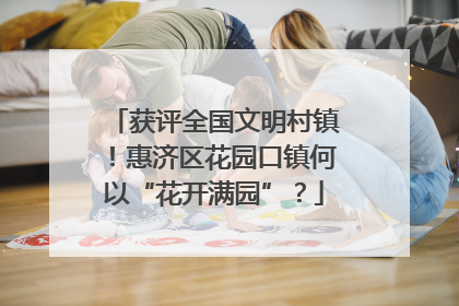 获评全国文明村镇！惠济区花园口镇何以“花开满园”？