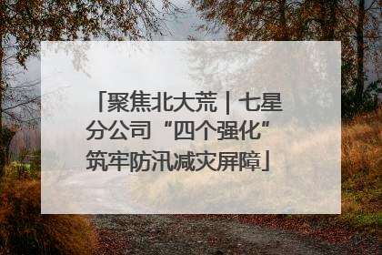 聚焦北大荒｜七星分公司“四个强化”筑牢防汛减灾屏障