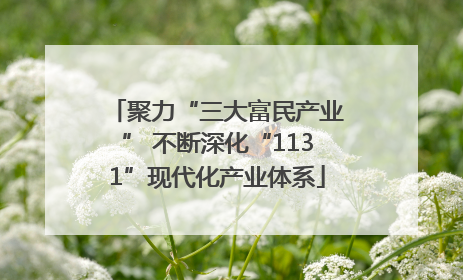 聚力“三大富民产业” 不断深化“1131”现代化产业体系