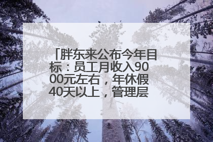 胖东来公布今年目标：员工月收入9000元左右，年休假40天以上，管理层人均分配70万元