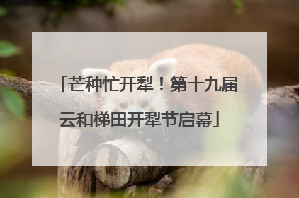 芒种忙开犁！第十九届云和梯田开犁节启幕