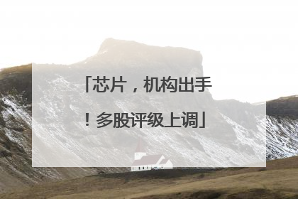 芯片，机构出手！多股评级上调