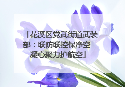 花溪区党武街道武装部：联防联控保净空 凝心聚力护航空