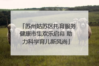 苏州姑苏区托育服务健康市集欢乐启幕 助力科学育儿新风尚