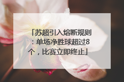苏超引入熔断规则：单场净胜球超过8个，比赛立即终止