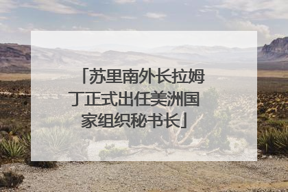 苏里南外长拉姆丁正式出任美洲国家组织秘书长