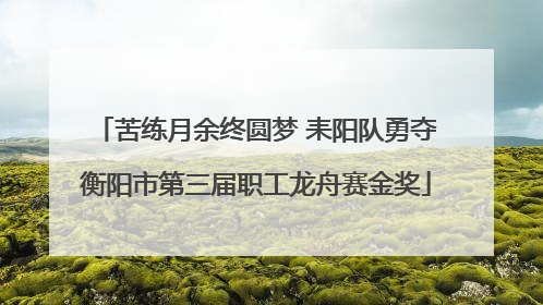 苦练月余终圆梦 耒阳队勇夺衡阳市第三届职工龙舟赛金奖