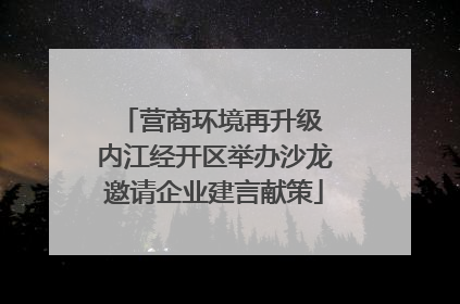 营商环境再升级 内江经开区举办沙龙邀请企业建言献策