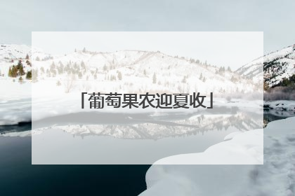 葡萄果农迎夏收