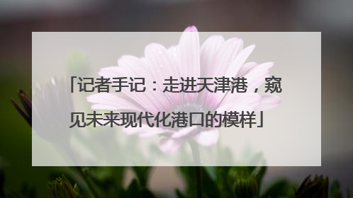 记者手记：走进天津港，窥见未来现代化港口的模样