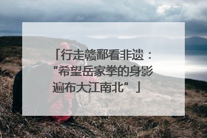 行走赣鄱看非遗：“希望岳家拳的身影遍布大江南北”