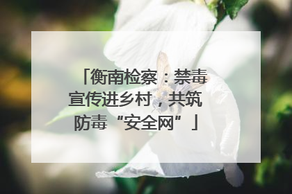 衡南检察：禁毒宣传进乡村，共筑防毒“安全网”