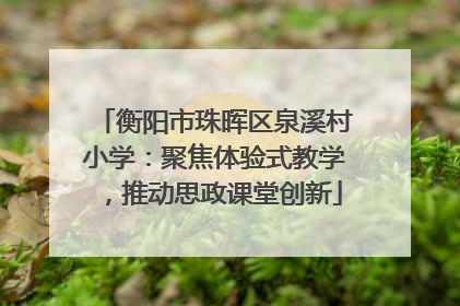 衡阳市珠晖区泉溪村小学：聚焦体验式教学，推动思政课堂创新