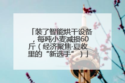 装了智能烘干设备，每吨小麦减损60斤（经济聚焦·夏收里的“新选手”）