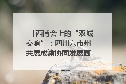 西博会上的“双城交响”：四川六市州共展成渝协同发展画卷｜西博视界