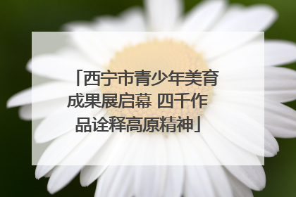西宁市青少年美育成果展启幕 四千作品诠释高原精神
